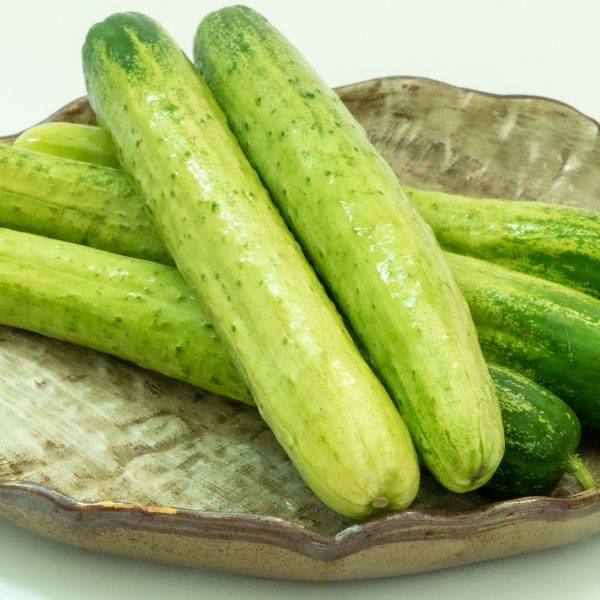 국내산 백오이 백다다기오이 1kg/2kg